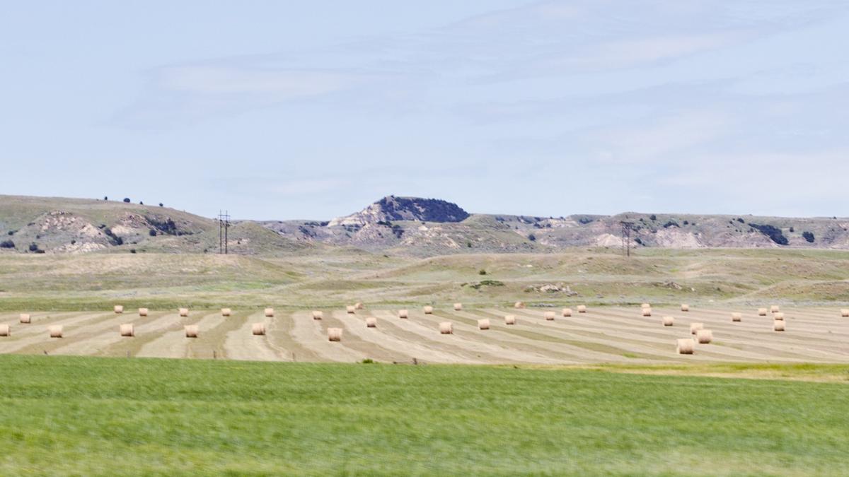 Round hay bales on a cut field below pale badlands hills, with green wheat in front and a power line on the ridge